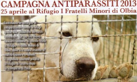 campagna