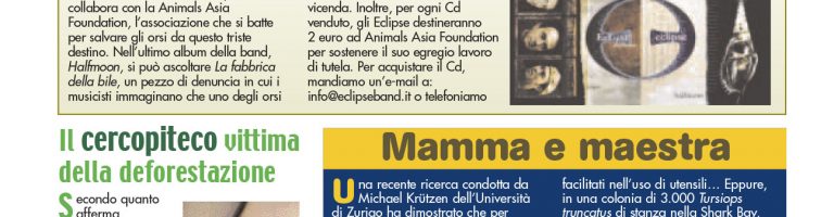 INAA50_006_008_B_Notizie