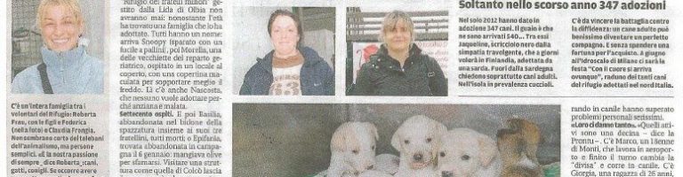 articolo08-02-13