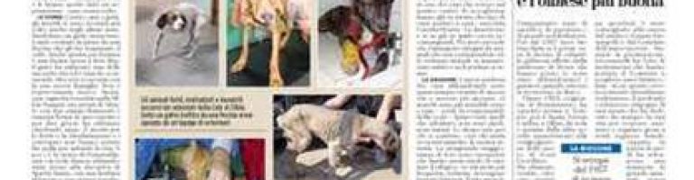 giornale